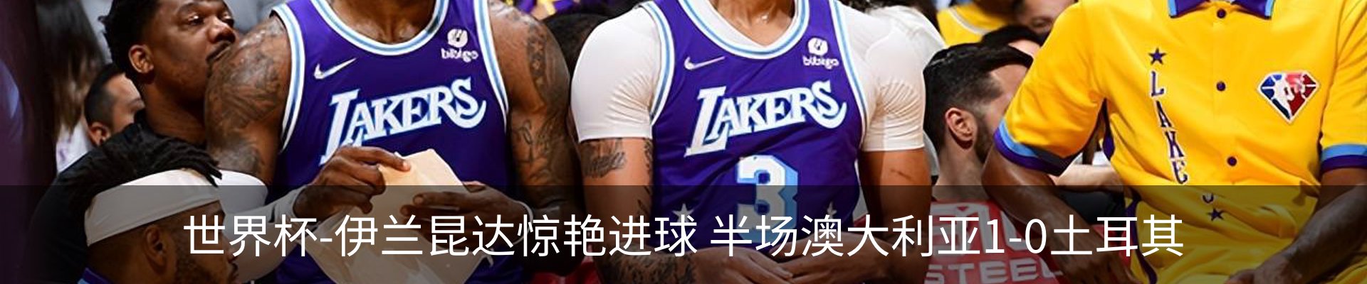 最新动态