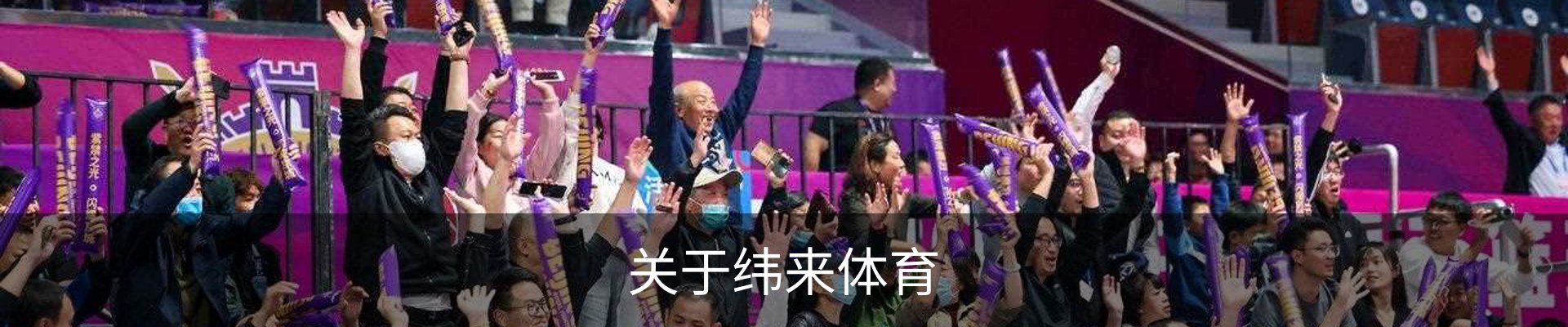 关于纬来体育