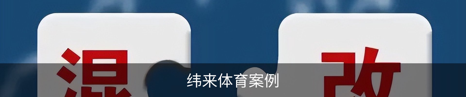 纬来体育案例